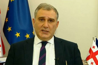 mixeil-sarjvelaZe-ned-praisma-sanqciebze-saubrisgan-praqtikulad-Tavi-Seikava
