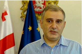 mixeil-sarjvelaZe-mediasaSualebis-warmomadgenelTa-qceva-veraviTar-kritikas-ver-uZlebs