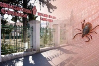 axali-safrTxe---vin-aris-qali-romelsac-yirim-kongo-da-koronavirusi-erTdroulad-daudasturda-da-saswrafod-TbilisSi-gadmoiyvanes