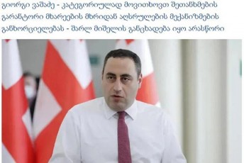 vladimer-boJaZe-giorgi-vaSaZeze-dRes-amaze-komikurs-veRarafers-moismenT-da-naxavT-Salr-miSelis-fraqciis-wevri-Sarl-miSels-akritikebs