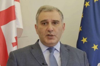 mixeil-sarjvelaZe-arcerT-SemTxvevaSi-ar-SeiZleba-Cveni-guSindeli-gadawyvetileba-sagareo-kursis-cvlad-ganimartos