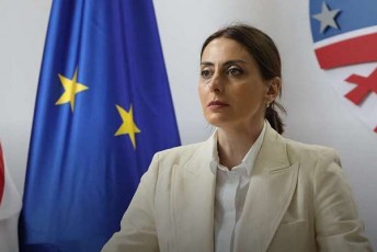 xatia-dekanoiZe-fraqcia-nacionaluri-moZraoba---Zala-erTobaSia-srul-boikotze-gadadis