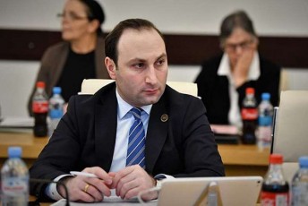 anri-oxanaSvili-nacionalurma-moZraobam-araferi-gaakeTa-imisTvis-rom-situacia-depolarizaciisken-waeyvana