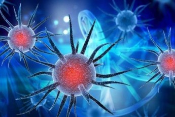 22-aTasi-virusi-uxanis-laboratoriaSi--ra-monacemebi-moipova-aSS-is-dazvervam
