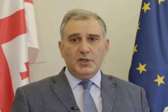 mixeil-sarjvelaZe-nacionaluri-moZraobisTvis-samarTlebrivi-wesrigi-da-normebi-ar-aris-saxelmZRvanelo-prioritetad-aRebuli-rac-mxolod-TavianTTvisaa-misaRebi-im-normebis-dacvaze-zrunaven