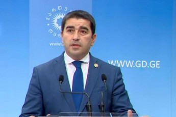 Salva-papuaSvili-nacionalurma-moZraobam-sakuTari-Tavi-iqamde-miiyvana-rom-anulirebul-xelSekrulebaze-aweren-xels-es-aris-politikis-parodia
