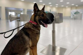 arabTa-gaerTianebuli-saamiroebis-aeroportebSi-38-meZebari-ZaRli-muSaobs-romlebsac-kovidinficirebulTa-amocnoba-98-iani-sizustiT-SeuZliaT