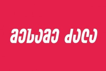samtrediaSi-politikuri-platforma-mesame-Zala-maJoritari-deputatobis-kandidatma-datova