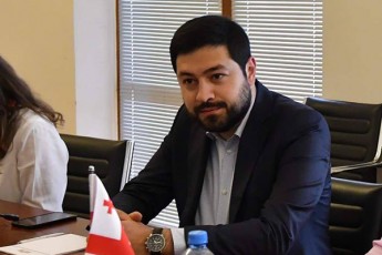 levan-qarumiZe-mixeil-saakaSvilTan-dakavSirebiT-ECR-is-gancxadebas-farisevlobis-TvalsaCino-magaliTs-uwodebs