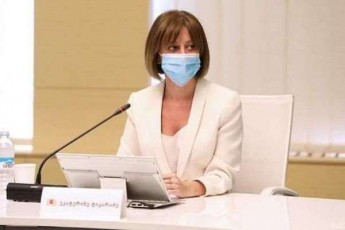 ekaterine-tikaraZe-tvindemiis-SemTxvevaSi-subaria-ara-axal-Stamze-aramed-2-sxvadasxva-virusis-zeddebaze