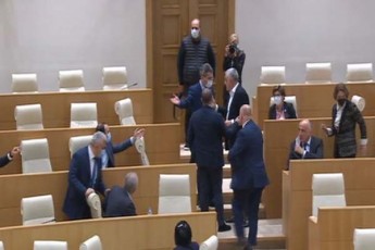 parlamentis-plenarul-sxdomaze-aluda-RuduSauri-da-mamuka-xazaraZe-erTmaneTs-daupirispirdnen