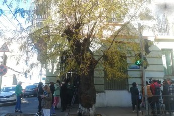 gogelias-klinikaSi-misuli-moqalaqeebi-amboben-rom-maT-sezonuri-gripis-sawinaaRmdego-vaqcinis-magivrad-C-vitamini-gaukeTes
