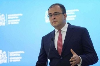 rati-bregaZe-aqtiur-politikur-cxovrebaSi-mixeil-saakaSvilis-CarTulobis-sakiTxi-saqarTvelos-kanonmdeblobasTan-srul-winaaRmdegobaSia