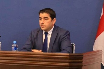 Salva-papuaSvili-nacionaluri-moZraoba-aris-Zaladobaze-dafuZnebuli-politikuri-organizacia-maTgan-gasakviri-araferia