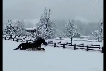 saxaliso-kadrebi-zRapruli-yazbegidan-video