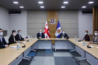 aleqsandre-daraxveliZem-evropis-sabWos-proeqtis-daxurvis-RonisZiebaSi-miiRo-monawileoba