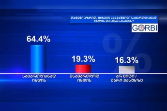 GORBI-respondentTa-644-miiCnevs-rom-mixeil-saakaSvili-sasjels-samarTlianad-ixdis