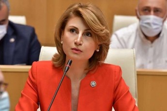 Tamar-taliaSvili-pirovnuli-mZime-uSveri-sityvieri-Seuracxyofis-moTmenaze-raime-specialuri-sadeputato-gansxvavebuli-standarti-ar-arsebobs