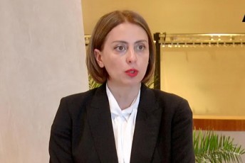 xatia-dekanoiZe-rogorc-Cans-kobaxiZisTvis-mniSvnelovania-Zalaufleba-SeinarCunos-yvelanair-maT-Soris-samoqalaqo-dapirispirebis-fasad---es-aris-Zaladobis-waxaliseba