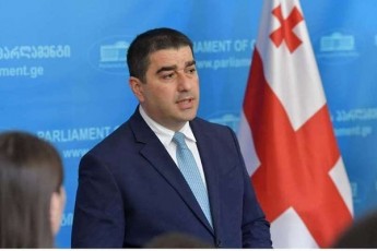 Salva-papuaSvili-meqneboda-molodini-rom-aSS-saelCo-iyos-maqsimalurad-gamWvirvale-da-Tu-saWiroa-ganmartebebi-mosamarTlesTan-dakavSirebiT-es-ganmartebebi-gaakeTos