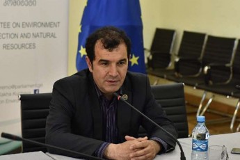 zaza-xuciSvili-aranairi-konsultacia-araviTari-SemoTavazeba-saxalxo-damcvelis-kandidatobasTan-dakavSirebiT-ar-mqonia