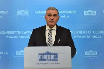 mixeil-sarjvelaZe-erTi-nabiji-mainc-gadmodgas-ISFED-ma-iseTi-romelic-saSualebas-miscem-rom-politikur-partiad-ar-iTvlebodes