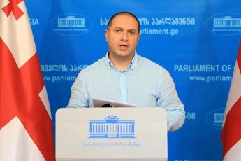 givi-miqanaZis-gancxadebiT-samarTliani-arCevnebi-politikur-process-ar-gaemijna-da-gasagebia-rom-es-organizacia-vercerT-samuSao-jgufSi-monawileobas-ver-miiRebs