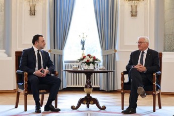 irakli-RaribaSvili-germaniis-prezidentTan-visaubreT-regionSi-arsebul-viTarebaze-da-saqarTvelo-germaniis-partniorobaze