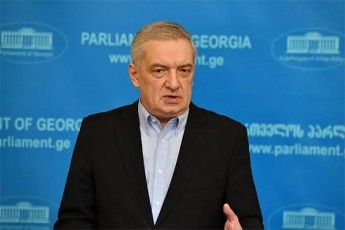 gia-volskiL-opoziciis-warmomadgenlebi-cdiloben-qveyanas-nacionaluri-moZraobis-alternativa-SesTavazon-Tumca-veravin-waSlis-warsuls-romelic-nacmoZraobasTan-erTad-hqondaT