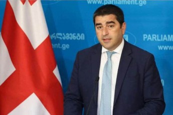 Salva-papuaSvili-radikaluri-opozicia-romelmac-termini---oligarqi-Semoitana-qarTul-politikur-leqsikonSi-Tavad-aRmoCnda-oligarqis-gavlenis-qveS