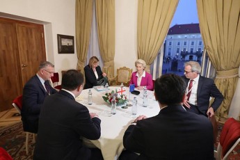irakli-RaribaSvili-ursula-fon-der-laiens-Sexvda