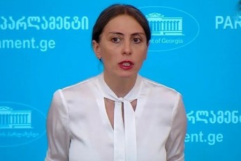 xatia-dekanoiZe-didi-sircxvilia-rom-evrosabWos-rezolucias-saqarTvelos-xelisuflebis-warmomadgenlebis-xma-ara-aqvs---maTi-mxridan-mixeil-saakaSvilis-Sesaxeb-Canawerze-saubari-mxolod-momizezebaa