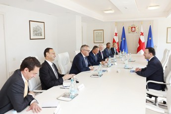 premier-ministri-irakli-RaribaSvili-Tata-Power-is-aRmasrulebel-direqtors-pravir-sinas-Sexvda