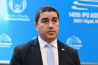 Salva-papuaSvili-martinus-taini-koqss-rezoluciis-damatebaSi-mixeil-saakaSvilis-moxsenieba-cvlis-rezoluciis-arss-suliskveTebas-da-Zirs-uTxris-evrosabWos-saparlamento-asambleis-faseulobebs
