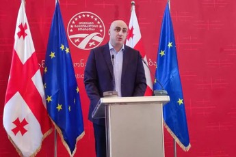nika-melia-rac-SeiZleba-swrafad-unda-gacxaddes-partniorebis-mxridan-rom-xelisuflebam-ukve-uari-Tqva-rekomendaciebis-Sesrulebaze-rasac-unda-mohyves-saTanado-reagireba