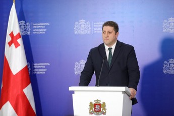 niko-TaTulaSvili-dRes-mTavrobis-sxdomaze-damtkicda-ori-samoqmedo-gegma-daaxloebiT-erTi-weli-midioda-muSaoba-Zalian-aqtiurad-gvexmareboda-am-procesSi-gaeros-qalTa-organizacia