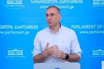 aleko-elisaSvili-dasCxavian-am-12-punqts-da-amboben-rom-kandidatis-statuss-95-iT-ver-miviRebT-es-aris-antisaxelmwifoebrivi-Zalisxmeva