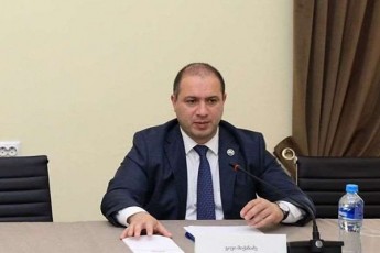 givi-miqanaZe-evroparlamentis-komitetSi-miRebul-dokumentze-es-Canaweri-aris-araadekvaturi-acdenilia-realobas