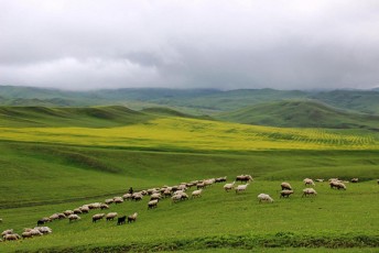 gamoqveynda-mesame-etapze-auqcionis-gziT-ijariT-gasacemi-saZovrebis-monacemebi