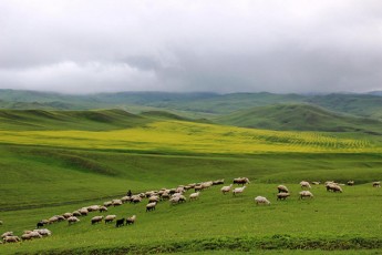 meeqvse-etapad-gamoqveynebuli-saZovrebis-ijariT-aRebis-msurvelTa-ganacxadebis-miReba-14-noembers-daiwyo-da-10-ianvris-CaTvliT-gagrZeldeba