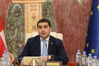 Salva-papuaSvili-parlamenti-qalTa-mimarT-Zaladobis-da-ojaxSi-Zaladobis-winaaRmdeg-globalur-kampanias-uerTdeba