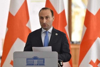 anri-oxanaSvili-saakaSvilze-piarkampania-sasjelis-gadaxedvis-safuZveli-ver-gaxdeba