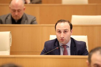 anri-oxanaSvili-nacionaluri-moZraoba-avrcelebs-dezinformacias-rogorc-Cans-mZime-provokaciebs-amzadeben