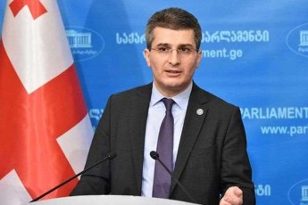 mamuka-mdinaraZe-Tavad-im-adamianebmac-romlebic-nacmoZraobisa-da-mixeil-saakaSvilis-davalebis-mimcemebad-da-lobistebad-gvevlinebian-ver-gabedes-daTqmis-gareSe-evroparlamentis-rezoluciaSi-Sesworebis-Setana
