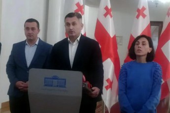 nacionaluri-moZraobis-wevrebma-parlamentSi-SimSiloba-daiwyes