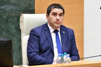 Salva-papuaSvili-xaTuna-samniZes--Tqveni-saqcieli-samarcxvinoa---mandaturs-mivmarTav-aefareT-win-rom-qalbatoni-xaTuna-damSviddes