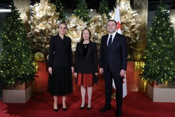 premier-ministrma-irakli-RaribaSvilma-diplomatebs-saaxalwlo-miRebaze-umaspinZla