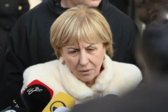 giuli-alasania--Cemi-moTxovnaa-rac-SeiZleba-swrafad-Catardes-procesebi---xelSi-makvdeba-Svili