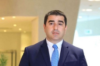 Salva-papuaSvili--mixeil-saakaSvili-unda-Seeguos-rom-danaSauls-mohyveba-sasjeli-da-sasjels-sWirdeba-moxda-misi-mfarvelebi-da-megobrebic-unda-Seeguon