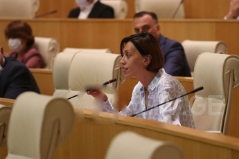 ani-wiTliZe-ufro-mets-qocebis-gulis-gasaxarad-sajarod-ar-vilaparakeb---vis-gamoc-partiaSi-movedi-2012-wels-cixeSi-zis-da-sikvdils-ebrZvis